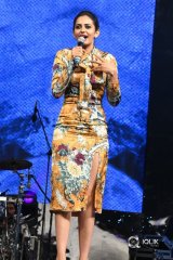 Dhruva Movie Pre Release Function